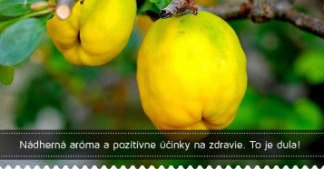 Nádherná aróma a pozitívne účinky na zdravie. To je dula!