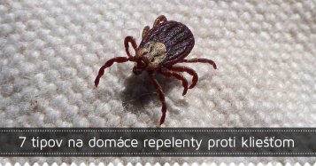 7 tipov na domáce repelenty proti kliešťom
