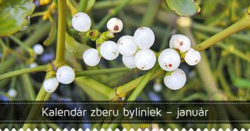 Kalendár zberu byliniek – január