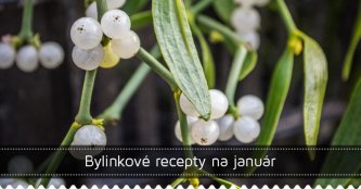 Bylinkové recepty na január Bylinkové recepty na január