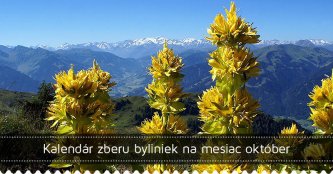 Kalendár zberu byliniek na mesiac október