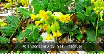 Kalendár zberu byliniek – február