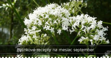 Bylinkové recepty na mesiac september