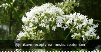 Bylinkové recepty na mesiac september