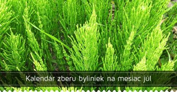 Kalendár zberu byliniek na mesiac júl