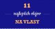 11 najlepších olejov na vlasy