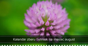 Kalendár zberu byliniek na mesiac august
