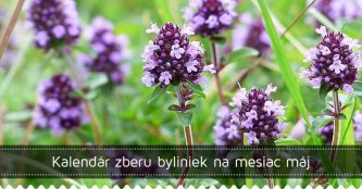 Kalendár zberu byliniek na mesiac máj