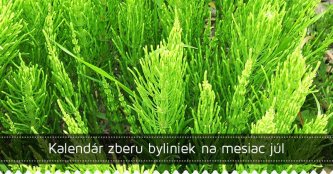 Kalendár zberu byliniek na mesiac júl