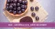 Acai – zázračné ovocie, ktoré vás omladí!