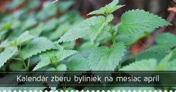 Kalendár zberu byliniek na mesiac apríl