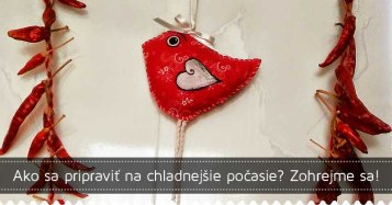 Ako sa pripraviť na chladnejšie počasie? Zohrejme sa!