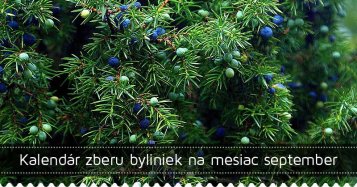 Kalendár zberu byliniek na mesiac september