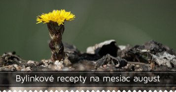 Bylinkové recepty na mesiac august