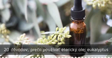20 dôvodov, prečo používať éterický olej eukalyptus