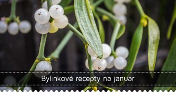 Bylinkové recepty na január