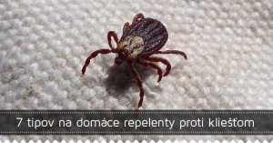 7 tipov na domáce repelenty proti kliešťom 7 tipov na domáce repelenty proti kliešťom