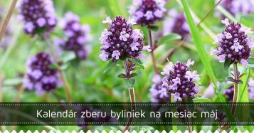 Kalendár zberu byliniek na mesiac máj