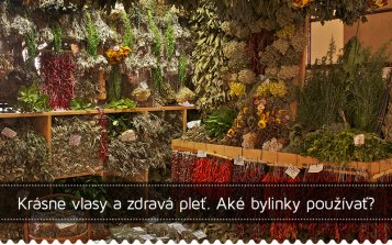 Krásne vlasy a zdravá pleť. Aké bylinky používať?