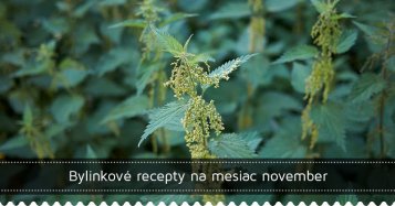 Bylinkové recepty na november