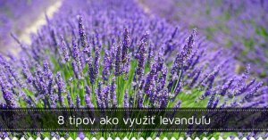 8 tipov ako využiť levanduľu 8 tipov ako využiť levanduľu