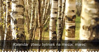 Kalendár zberu byliniek na mesiac marec Kalendár zberu byliniek na mesiac marec