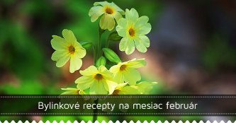 Bylinkové recepty na mesiac február Bylinkové recepty na mesiac február