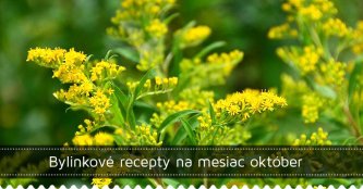 Bylinkové recepty na mesiac október