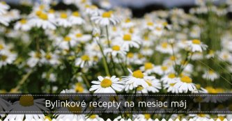 Bylinkové recpety na máj Bylinkové recpety na máj