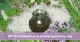 DIY Protiplesňový aromaterapeutický olej