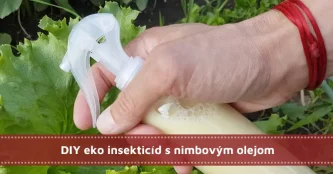 DIY eko insekticíd s nimbovým olejom