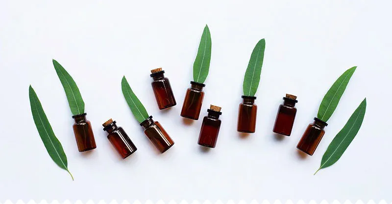 20 dôvodov, prečo používať éterický olej eukalyptus
